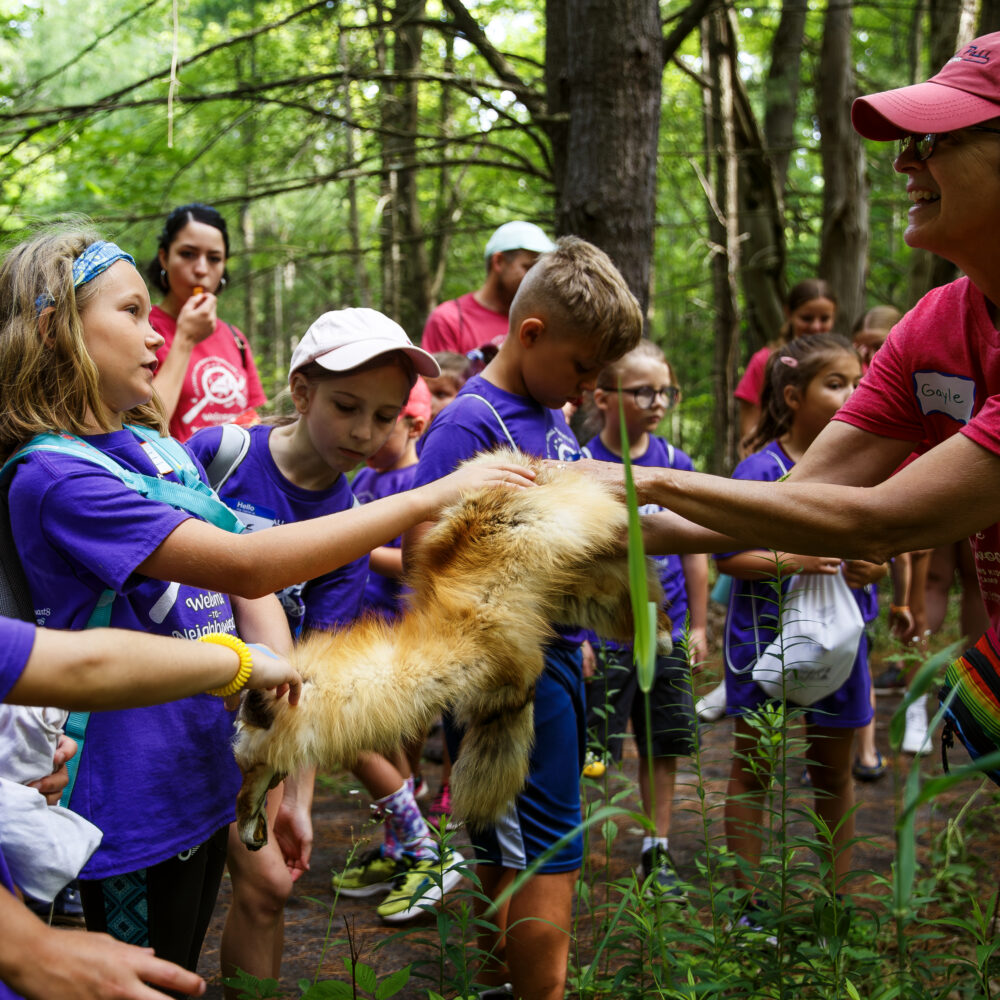 Kids touch a fur while walking a trail
