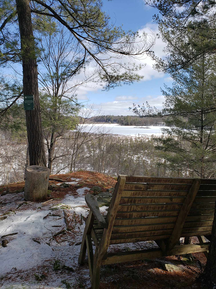 Bench overlooking preserve in winter