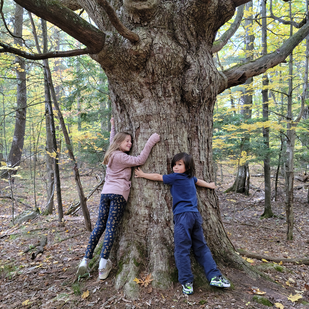 Two kids hugging a large tree in the fall