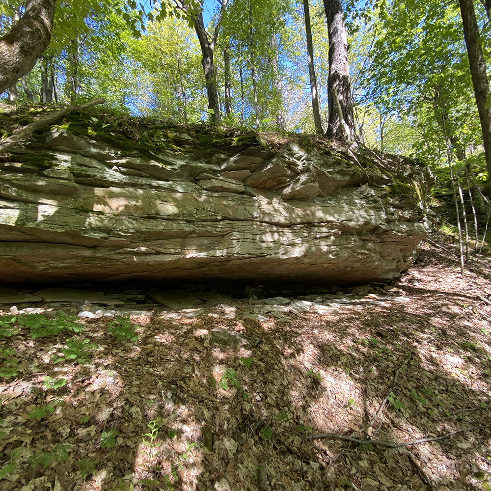 large boulder in the woods
