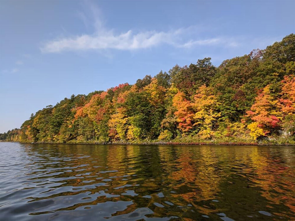 Fall Foliage on lake edge