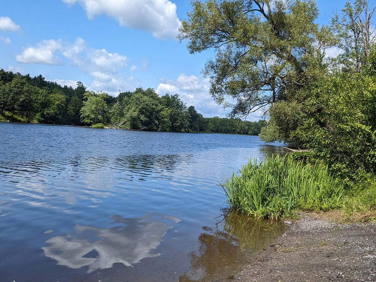 worms-eye view of the river