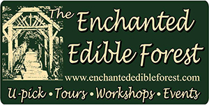 Enchanted Edible Forest Logo