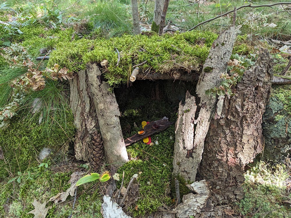 Fairy Houses appear trailside