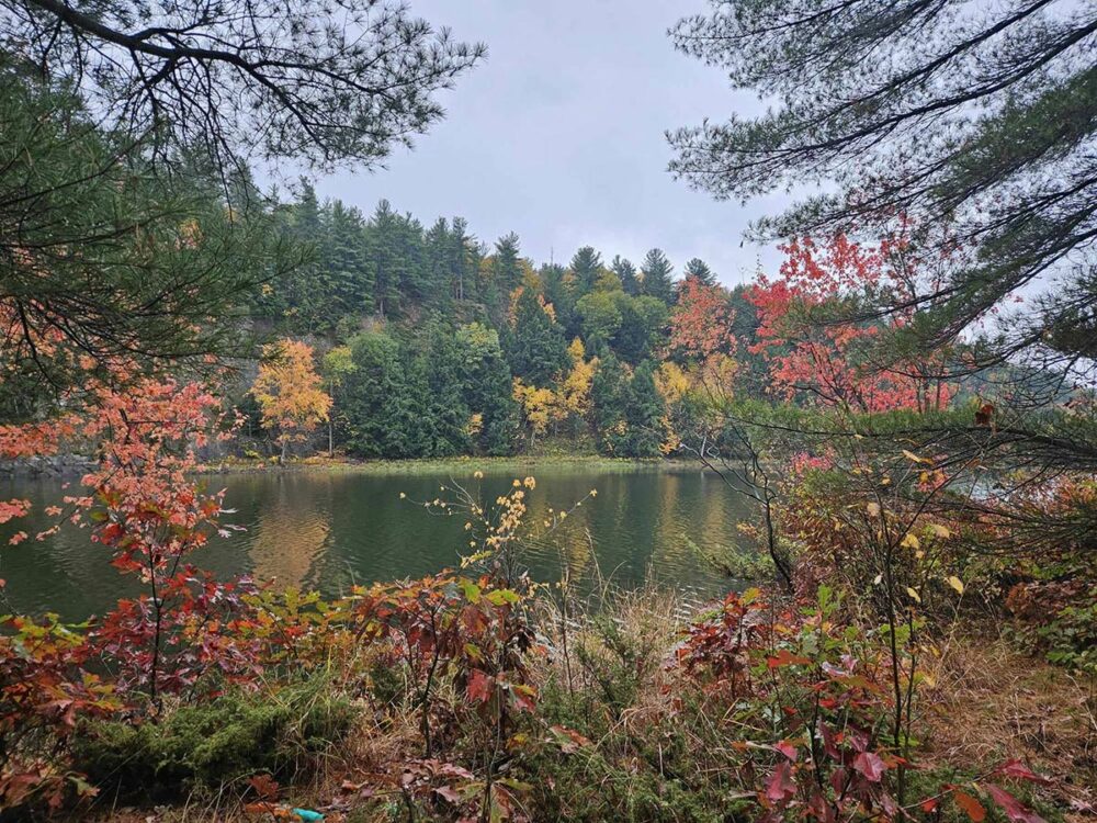 Red Lake in the fall