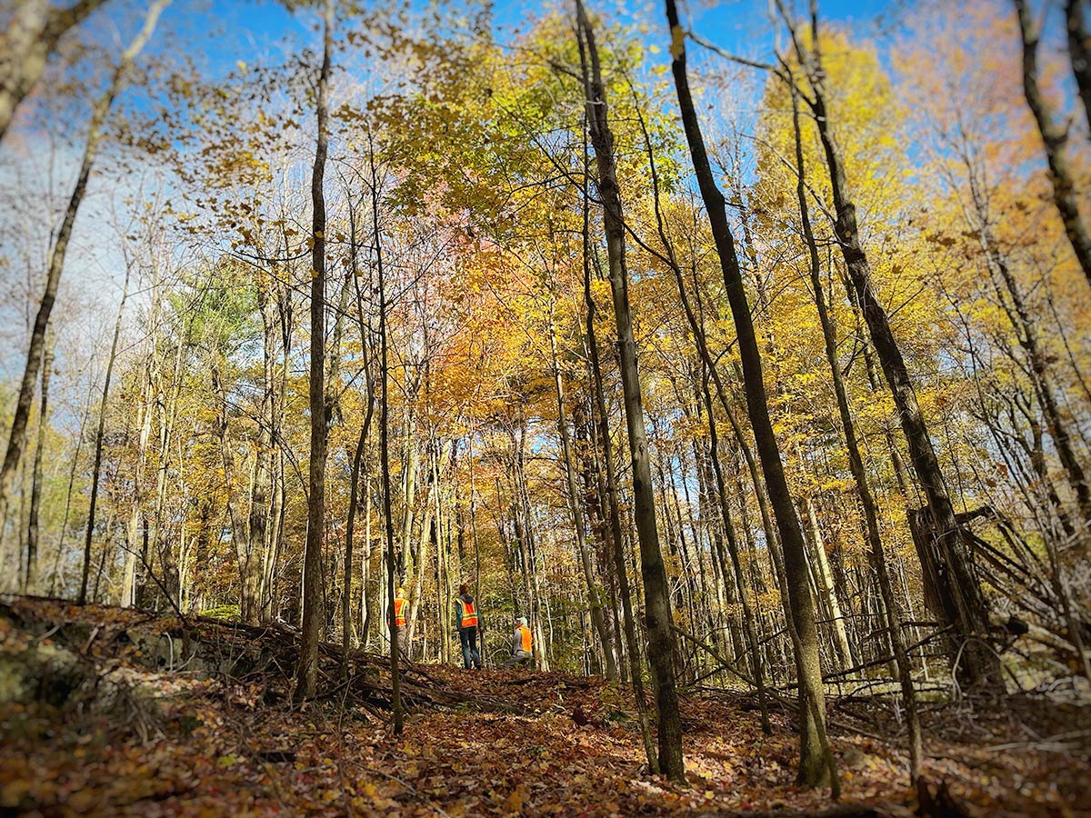 Three people working on trails