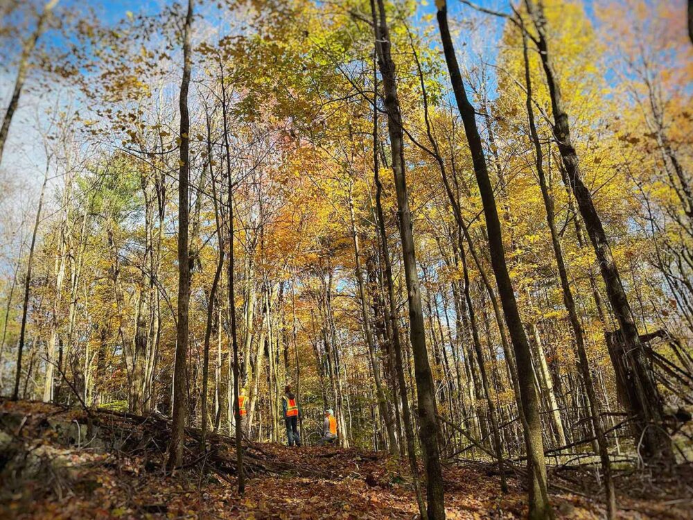 Three volunteers clearing trails