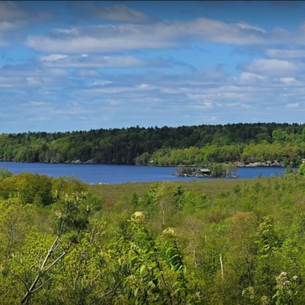 View of green trees and Grand Lake