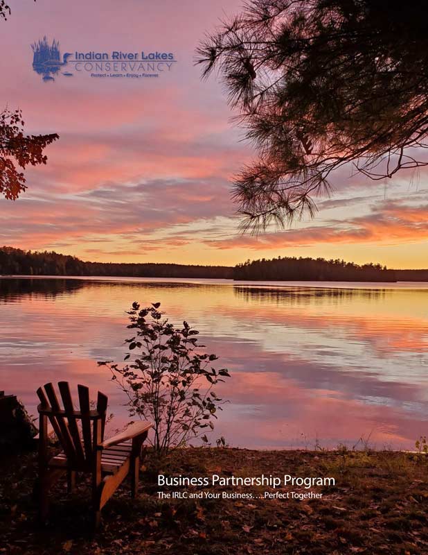 cover of brochure with a sunset