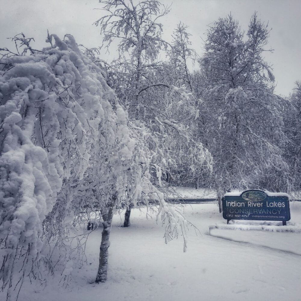 Winter wonderland with the IRLC sign