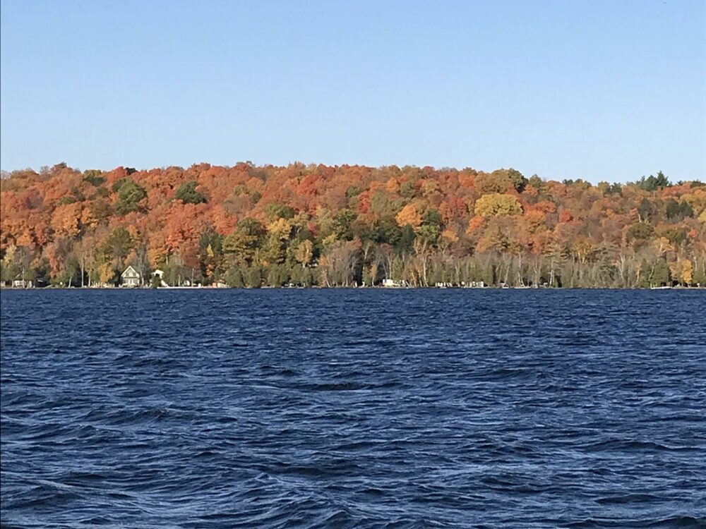 lake view in the fall