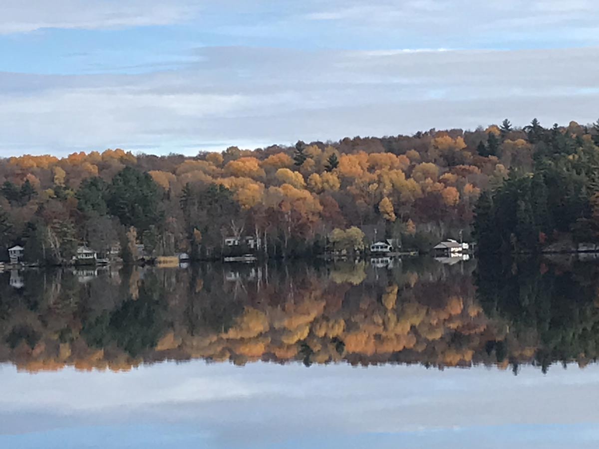 fall foliage