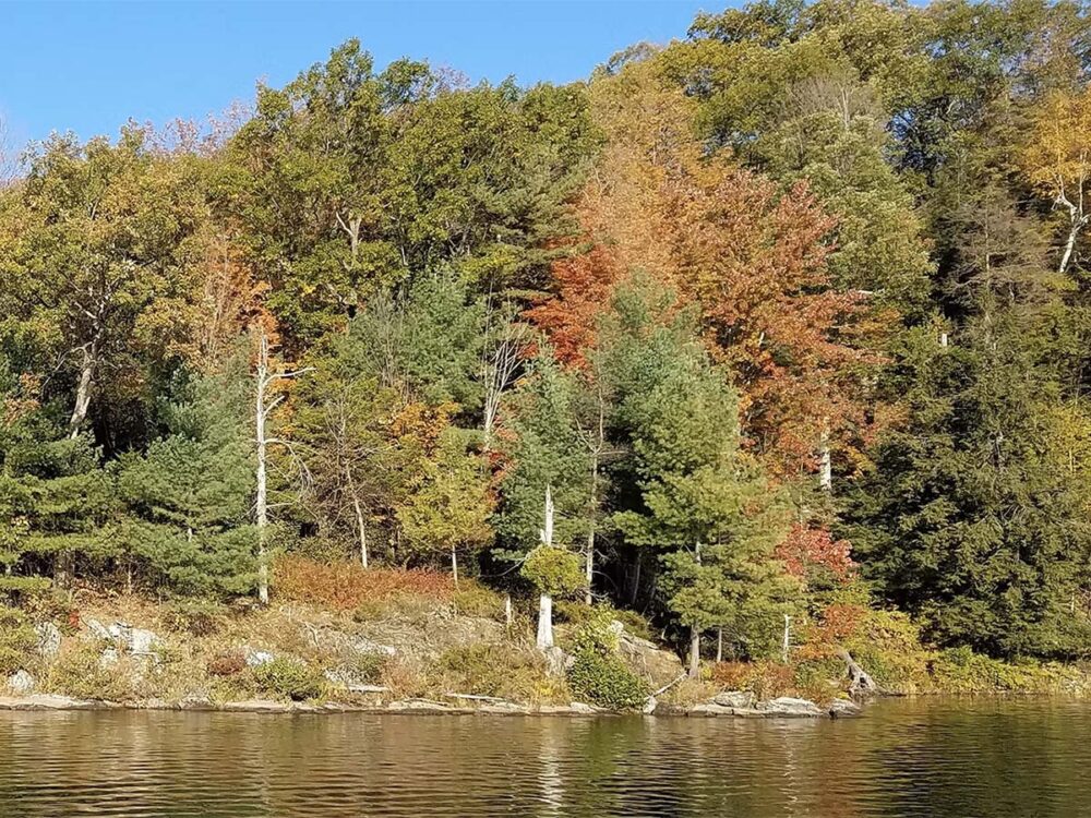 fall foliage reflected in the lake