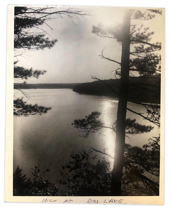 black and white photo of pine trees along the treeline