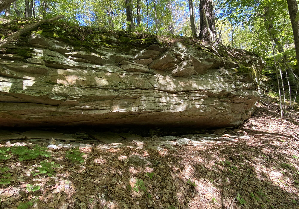 large boulder in the woods