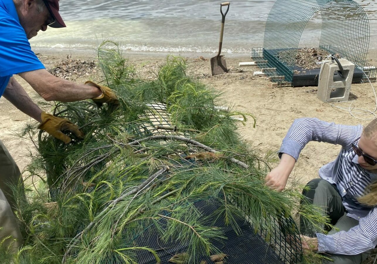 People adding leaves and sticks to a loon raft