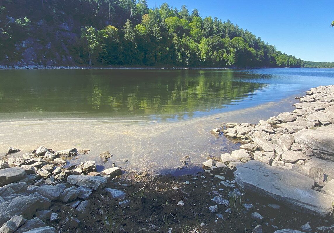 worm's eye view of Red Lake