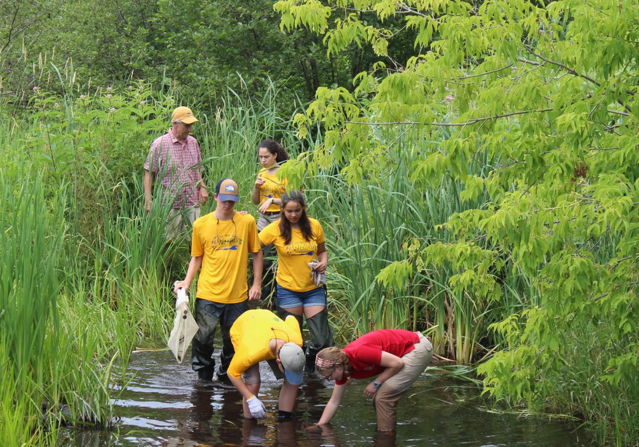 Students exploring in water