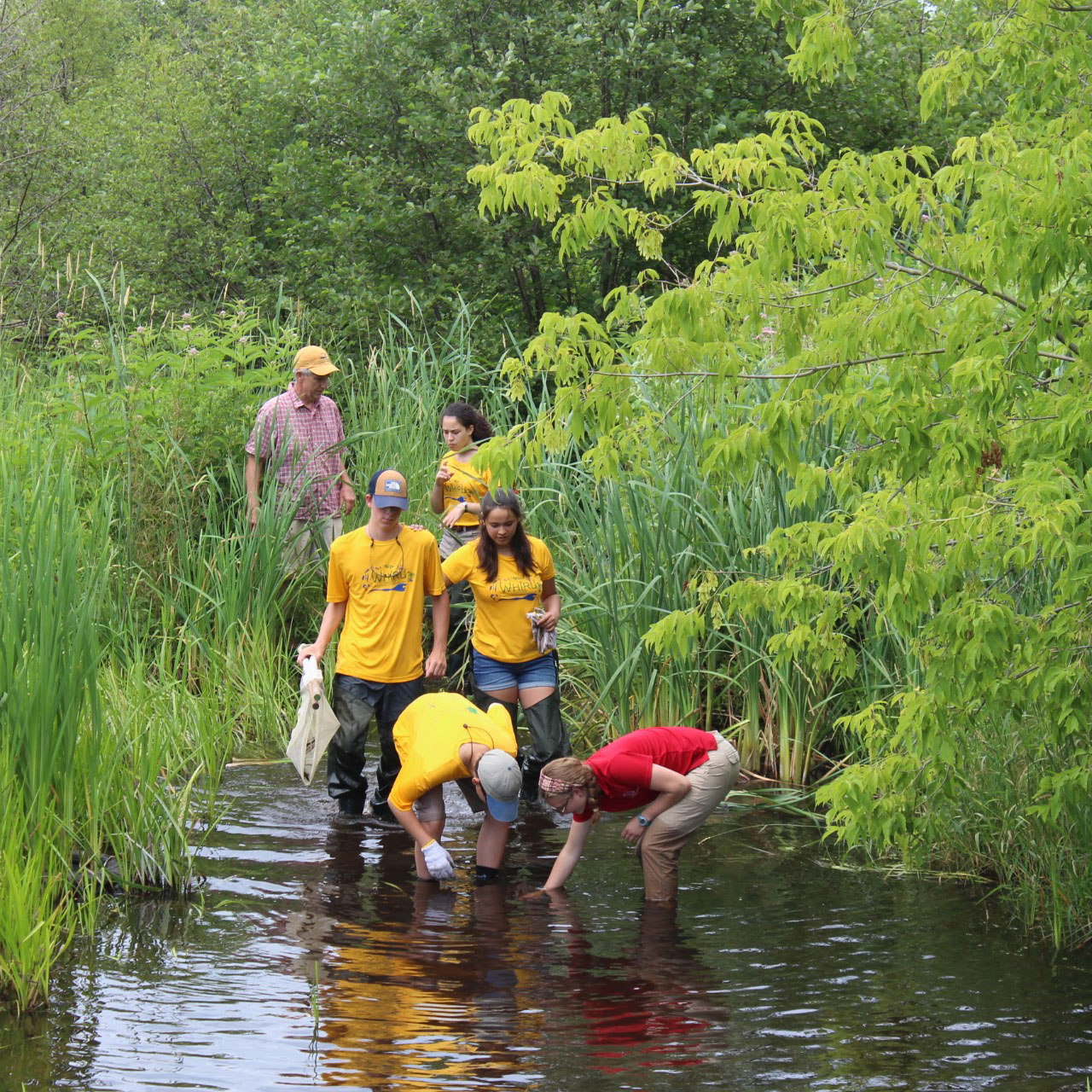 Students exploring in water