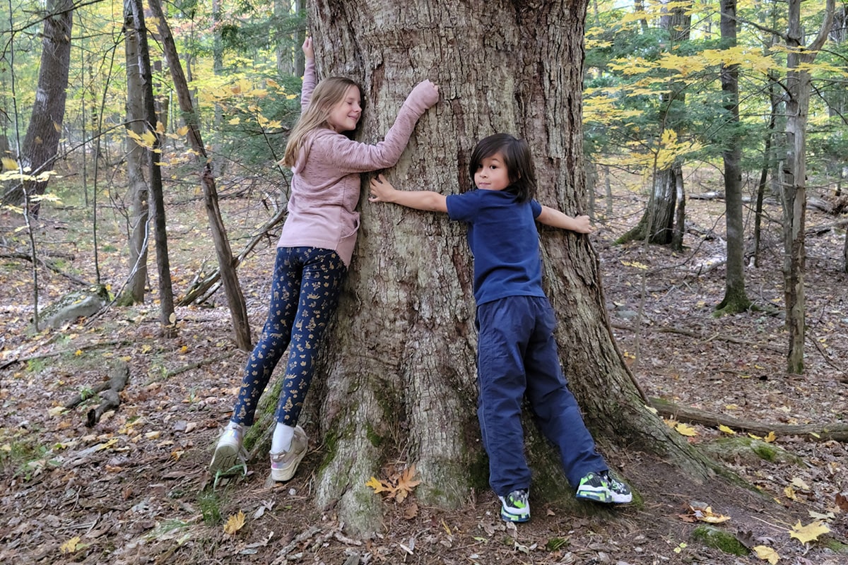Irlc Tree Hugging