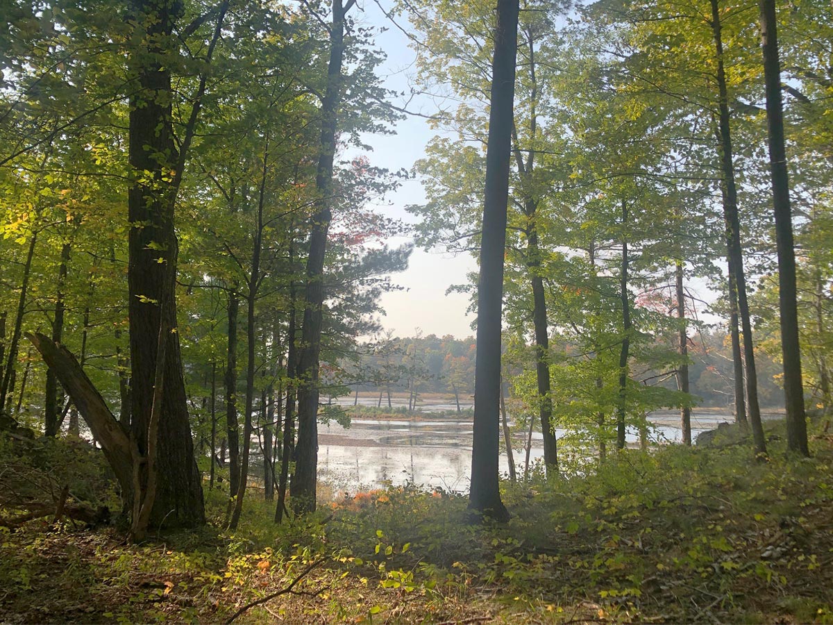 Lake Fall Foliage