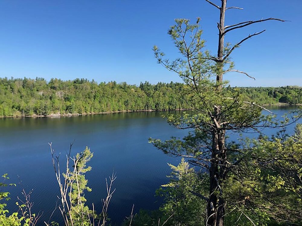 aerial view of Yellow Lake in the summer